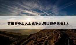 黄山睿基工人工资多少,黄山睿基融资1亿