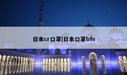 日本cr口罩|日本口罩bfe