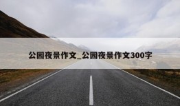 公园夜景作文_公园夜景作文300字