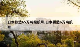 日本欲造65万吨级航母,日本要造6万吨航母