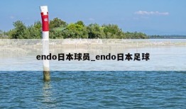 endo日本球员_endo日本足球