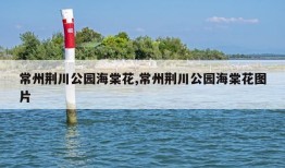 常州荆川公园海棠花,常州荆川公园海棠花图片