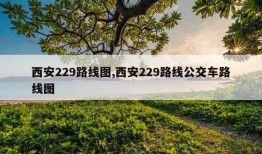 西安229路线图,西安229路线公交车路线图