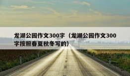 龙湖公园作文300字（龙湖公园作文300字按照春夏秋冬写的）