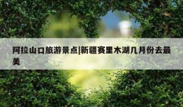 阿拉山口旅游景点|新疆赛里木湖几月份去最美