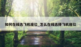 如何在线选飞机座位_怎么在线选择飞机座位