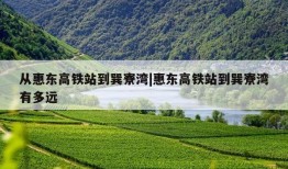 从惠东高铁站到巽寮湾|惠东高铁站到巽寮湾有多远