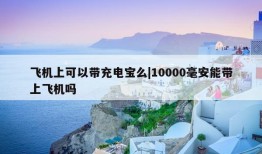 飞机上可以带充电宝么|10000毫安能带上飞机吗