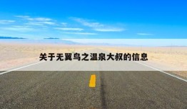 关于无翼鸟之温泉大叔的信息