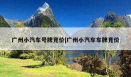 广州小汽车号牌竞价|广州小汽车车牌竞价