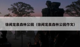 徐闻龙泉森林公园（徐闻龙泉森林公园作文）