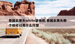 泰国去黑头white替换纸,泰国去黑头那个纸可以用什么代替