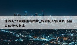 侏罗纪公园迅猛龙图片_侏罗纪公园里的迅猛龙叫什么名字