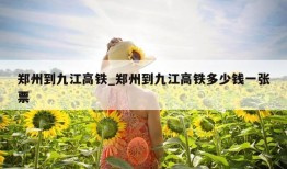 郑州到九江高铁_郑州到九江高铁多少钱一张票