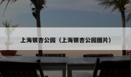 上海银杏公园（上海银杏公园图片）