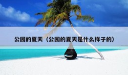 公园的夏天（公园的夏天是什么样子的）