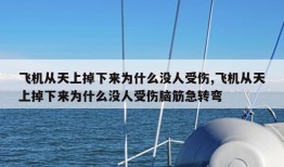 飞机从天上掉下来为什么没人受伤,飞机从天上掉下来为什么没人受伤脑筋急转弯