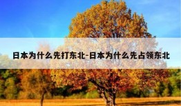 日本为什么先打东北-日本为什么先占领东北