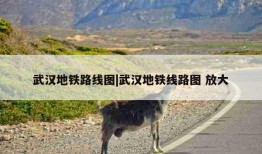 武汉地铁路线图|武汉地铁线路图 放大