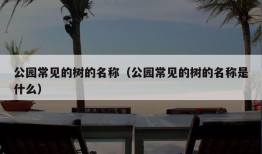 公园常见的树的名称（公园常见的树的名称是什么）