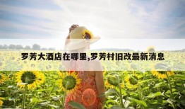 罗芳大酒店在哪里,罗芳村旧改最新消息