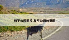 和平公园图片,和平公园效果图