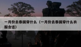 一月份去泰国穿什么（一月份去泰国穿什么衣服合适）