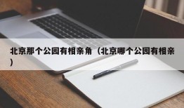 北京那个公园有相亲角（北京哪个公园有相亲）