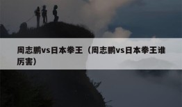 周志鹏vs日本拳王（周志鹏vs日本拳王谁厉害）