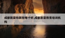 成都新亚和新锐哪个好,成都新亚教育培训机构