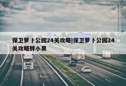 保卫萝卜公园24关攻略|保卫萝卜公园24关攻略胖小黑