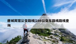 唐城宾馆公交路线|286公交车路线路线查询