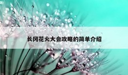 长冈花火大会攻略的简单介绍