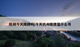 杭州今天限牌吗|今天杭州限牌是什么号