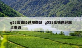 g58高铁经过那些站_g558高铁途经站点查询