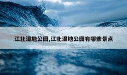 江北湿地公园,江北湿地公园有哪些景点