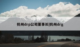 杭州drp公司董事长|杭州drg