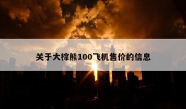 关于大棕熊100飞机售价的信息