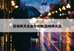 昆明两天自由行攻略|昆明两天游