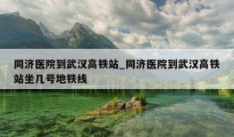 同济医院到武汉高铁站_同济医院到武汉高铁站坐几号地铁线