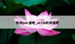 杭州par酒吧_arria杭州酒吧