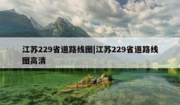 江苏229省道路线图|江苏229省道路线图高清