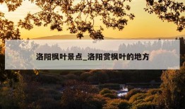 洛阳枫叶景点_洛阳赏枫叶的地方