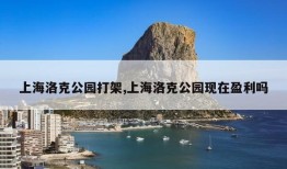 上海洛克公园打架,上海洛克公园现在盈利吗