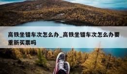 高铁坐错车次怎么办_高铁坐错车次怎么办要重新买票吗