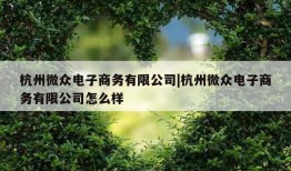 杭州微众电子商务有限公司|杭州微众电子商务有限公司怎么样