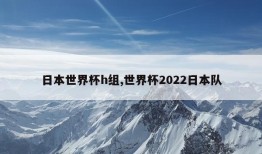 日本世界杯h组,世界杯2022日本队