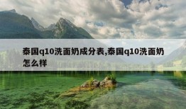 泰国q10洗面奶成分表,泰国q10洗面奶怎么样