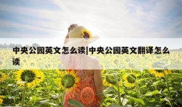 中央公园英文怎么读|中央公园英文翻译怎么读