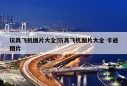 玩具飞机图片大全|玩具飞机图片大全 卡通图片